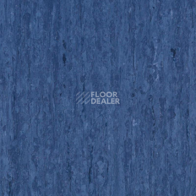 Линолеум Tarkett iq Optima DARK RED BLUE 0849 фото 1 | FLOORDEALER